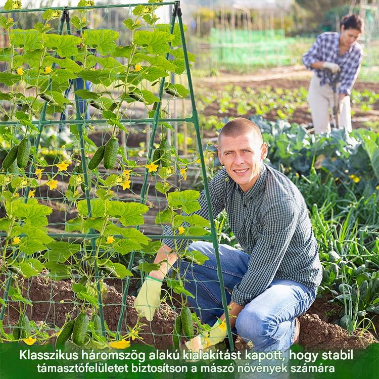 🌱 Erős növénytámasz futónövényekhez – stabil tartás és védelem a kertedben!