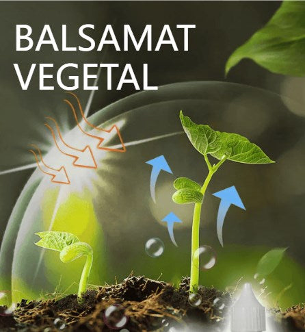 🌱🌱【3 darab】Növény- és virágaktiváló folyékony oldat